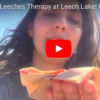 Leech Therapy with Wild Leeches at the Lake! Терапия с диви пиявици от Пиявичното Езеро! from Tsetsi on Vimeo.