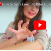 How to Get a Leech to Bite? How do Bloodsucking Leeches Latch On for Bloodsucking Action? Tsetsi from Tsetsi on Vimeo.